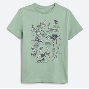 Boys graphic tee